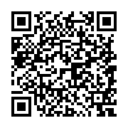 QR code for DZT9919