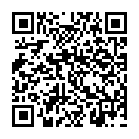QR code for DZU310