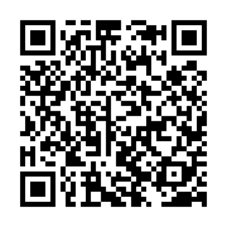 QR code for DZV509