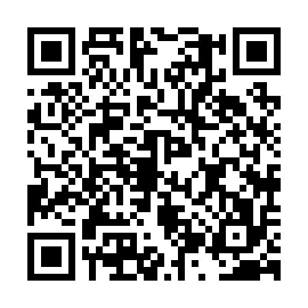 QR code for DZX2166