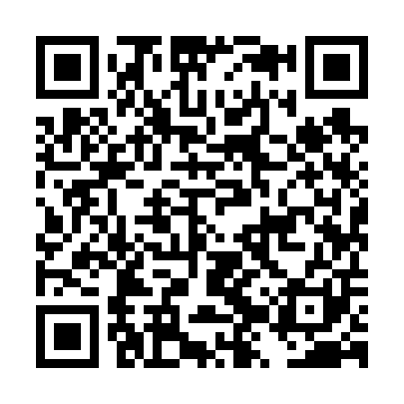 QR code for DZY601