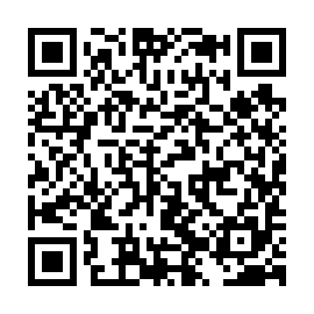 QR code for DZY695