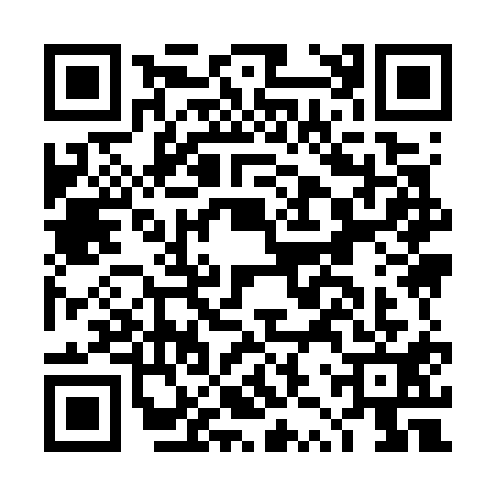 QR code for DZY7119