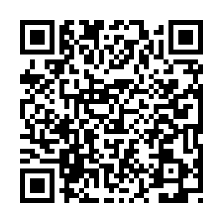 QR code for DZY8433