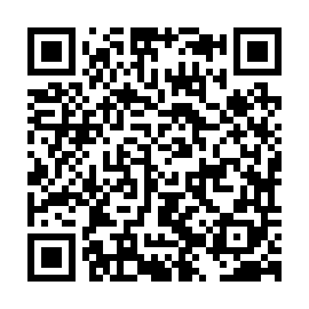 QR code for DZZ248