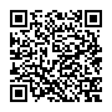 QR code for ECO6341