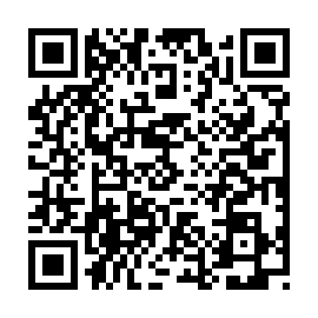 QR code for EEG5387