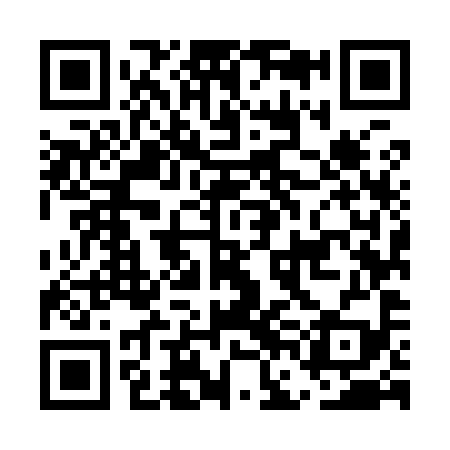 QR code for EFM999