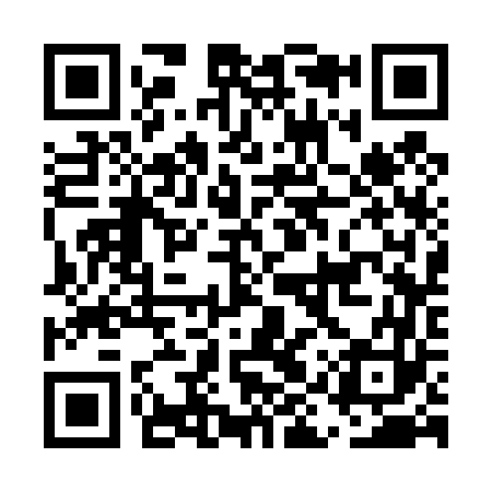 QR code for EIS463