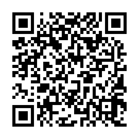 QR code for ELE918