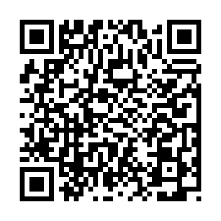 QR code for ERR0498