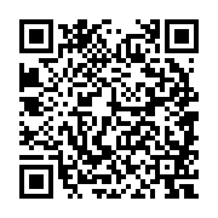 QR code for FAT2833