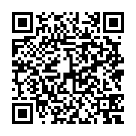 QR code for FBM0383