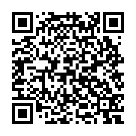 QR code for FEG333