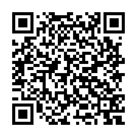 QR code for FEI173