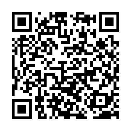 QR code for FEY339