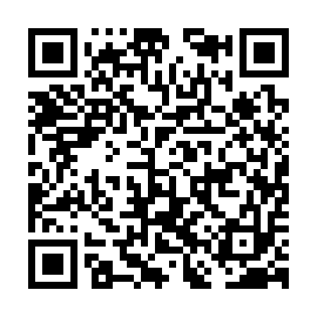 QR code for FFQ313