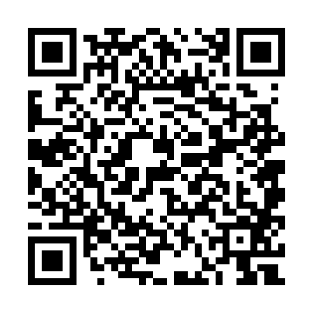 QR code for FFV3868
