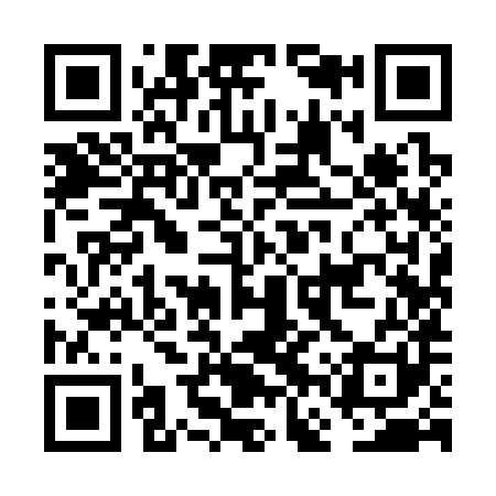 QR code for FFY381