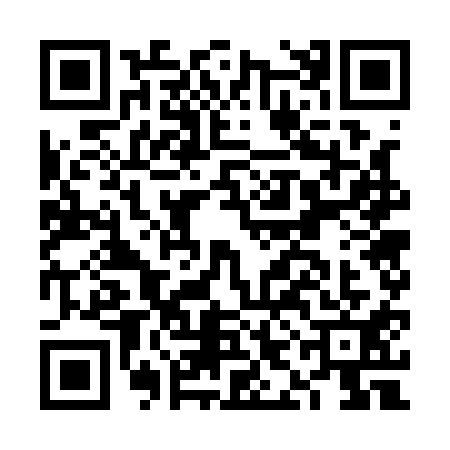 QR code for FIG1111