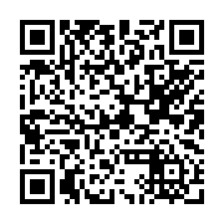 QR code for FIH294