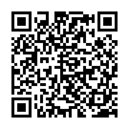 QR code for FIO161