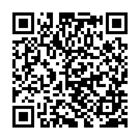 QR code for FIO382