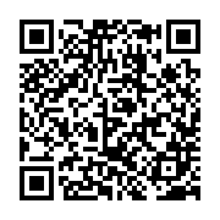 QR code for FIV382