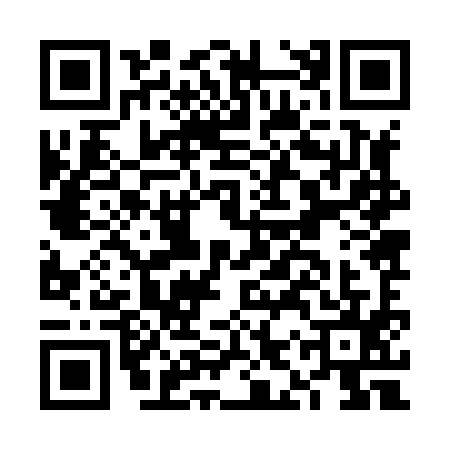 QR code for FIZ8955