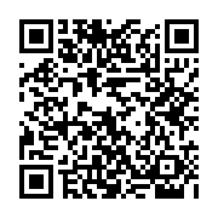 QR code for FKN0293