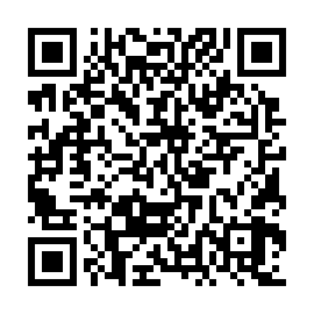 QR code for FLE368