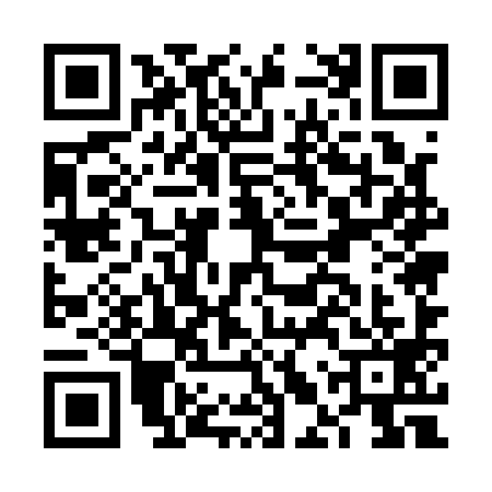 QR code for FLU1993