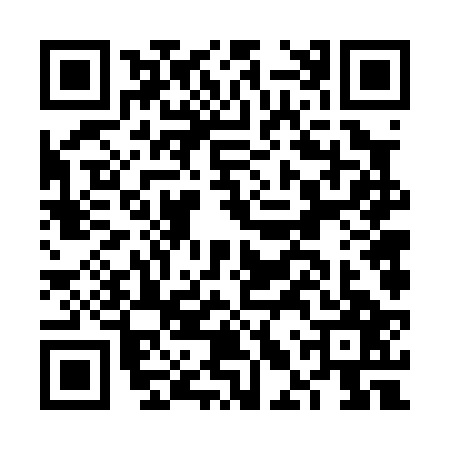 QR code for FLV0273