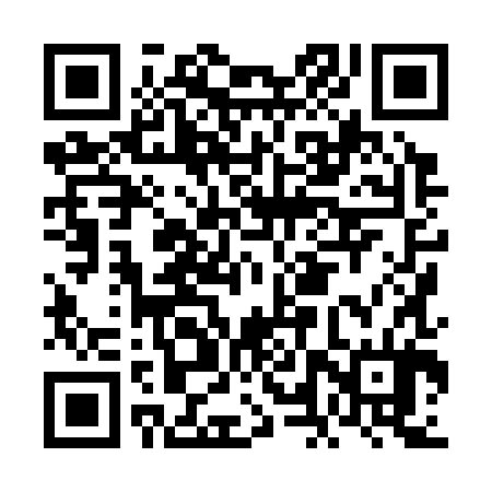 QR code for FLX384
