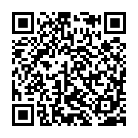QR code for FLZ595