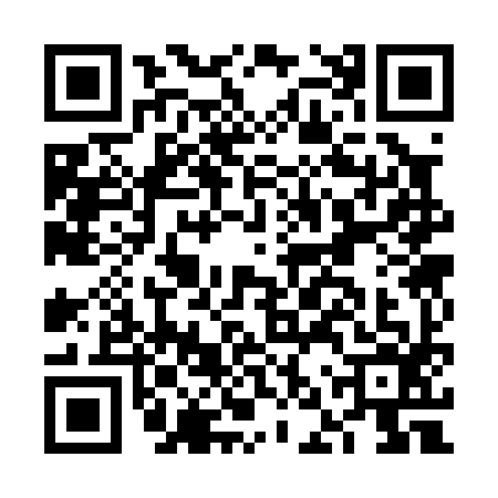 QR code for FNS0966