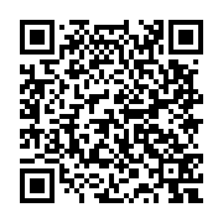 QR code for FPI573