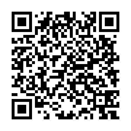 QR code for FPN538