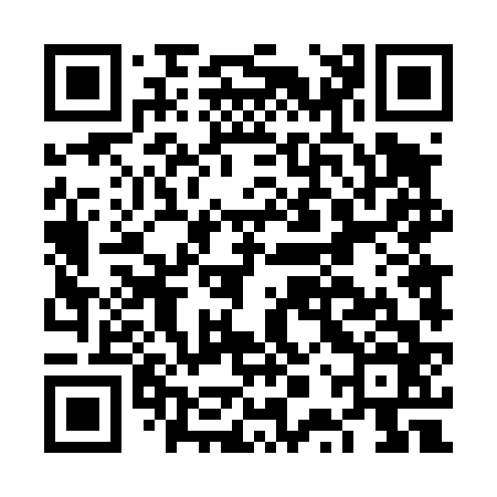 QR code for FPT466