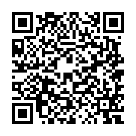 QR code for FSE4955