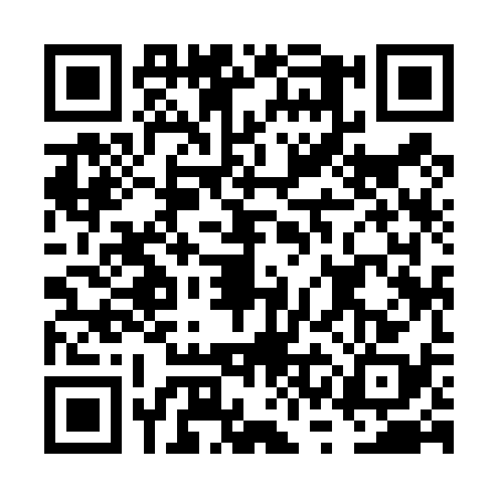 QR code for FSI4385