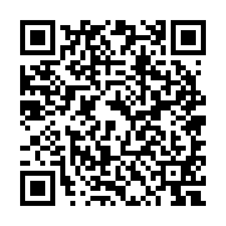 QR code for FTE2919