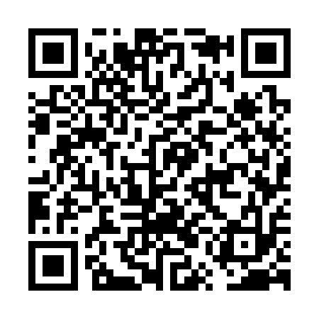QR code for FUG313