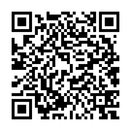 QR code for FVF6393