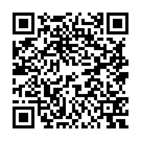 QR code for FVI8738