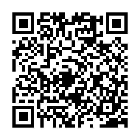 QR code for FYE0673