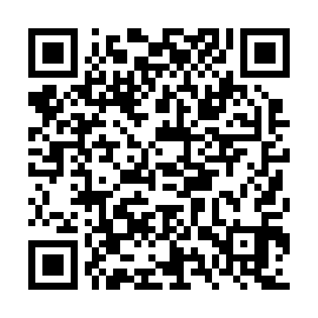 QR code for FYP211