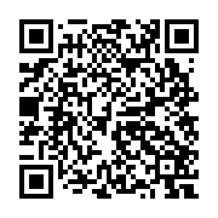 QR code for FZB306