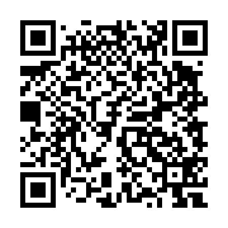 QR code for FZD419