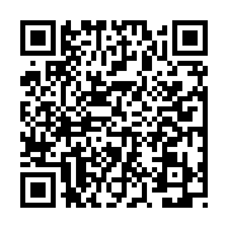 QR code for FZV8393